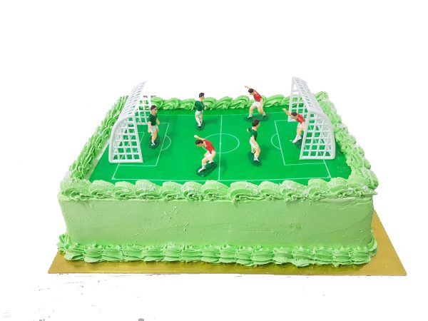 Торта Футболно игрище, Cake №49